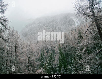 Coperta di neve Zermatt con nebbia in Svizzera in inverno. Zermatt è un comune nel distretto di Visp del canton Vallese. Foto Stock