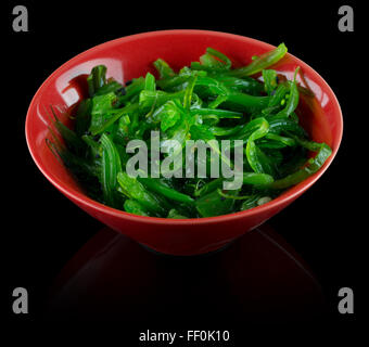 Alga verde insalata in targhetta rossa su uno sfondo nero. Foto Stock