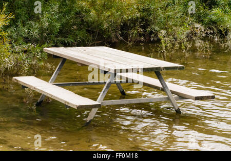 Vuoto marrone Tavolo picnic in piedi in poco profonda acqua marrone vicino a piante verdi e cespugli. Foto Stock