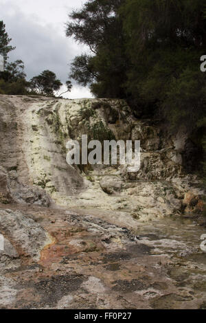 Cascata di agglomerato in Wai-O-Tapu area termale sull'Isola del nord della Nuova Zelanda. Foto Stock