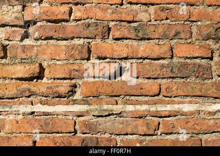 Telaio completo di prendere un weathered muro di mattoni Foto Stock