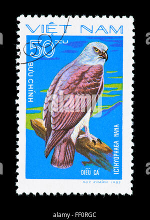 Francobollo dal Vietnam raffigurante un pesce minore-eagle (icthyophaga nana) Foto Stock