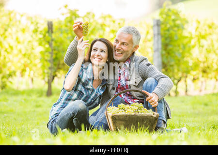Gli agricoltori caucasica esaminando le uve in vigna Foto Stock