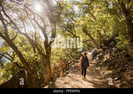 La donna caucasica passeggiate in foresta Foto Stock