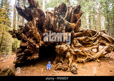 Ragazza caucasica seduto sotto antico albero Foto Stock