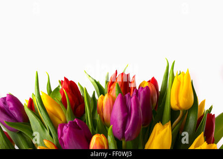 Chiusura del bouquet di tulipani Foto Stock