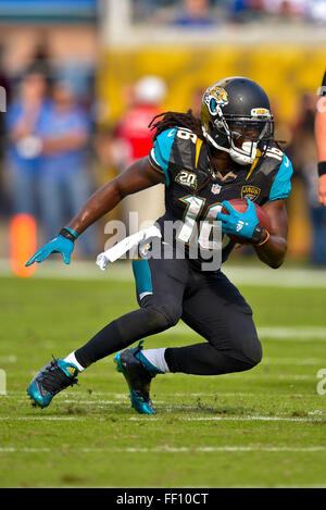 Il Jacksonville, FL, Stati Uniti d'America. 30 Novembre, 2014. Jacksonville Jaguars running back Denard Robinson (16) durante un gioco di NFL contro New York Giants in campo EverBank su nov. 30, 2014 a Jacksonville, in Florida. I giaguari hanno vinto 25-24.ZUMA PRESS/Scott A. Miller © Scott A. Miller/ZUMA filo/Alamy Live News Foto Stock