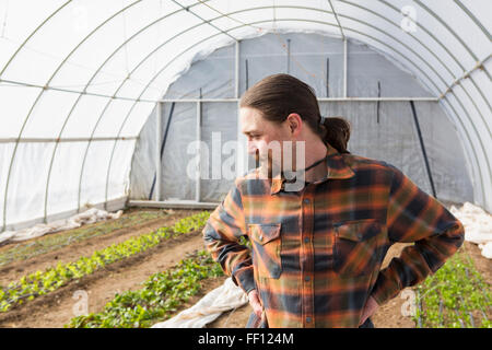 L'agricoltore caucasici in piedi in serra Foto Stock