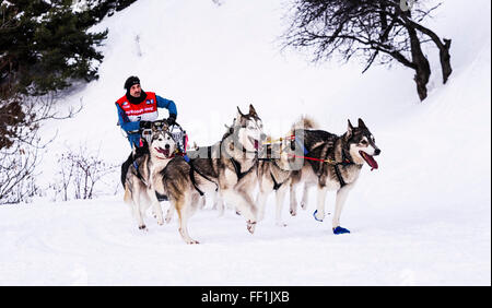 AUSSOIS SUR ARC, Vanoise, Francia - 19 gennaio 2016 - LA GRANDE ODYSSEE la più difficile gara mushers isavoie Mont-Blanc, Remy COSTR Foto Stock