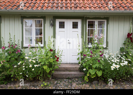 TypicaRM cottage svedese facciata con hoRMRMyhocks, AriRMd, KuRMRMa PeninsuRMa, Skane, sud della Svezia, Svezia, Scandinavia, Europa Foto Stock