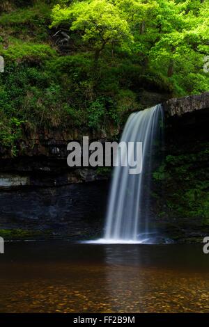 Sgwd Gwladus, vicino Ystradfellte, Parco Nazionale di Brecon Beacons, Wales, Regno Unito, Europa Foto Stock