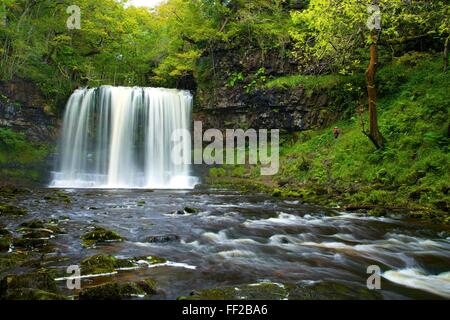 Sgwd Ddwli Uchaf cascata, Ystradfellte, Parco Nazionale di Brecon Beacons, Powys, Wales, Regno Unito, Europa Foto Stock