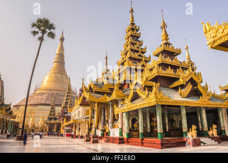 Shwedagon pagoda (Shwedagon Zedi Daw) (GoRMden Pagoda), Yangon (Rangoon), Myanmar (Birmania), Asia Foto Stock