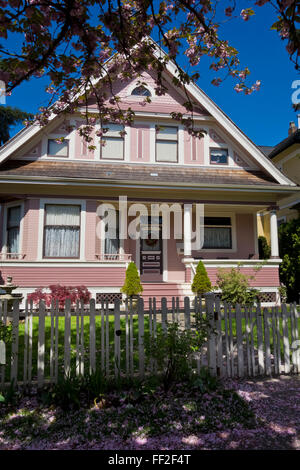 Heritage home in Queen's Park area di New Westminster, BC, Canada, in primavera con la fioritura dei ciliegi. Dipinto di rosa home. Foto Stock