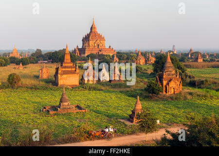 TraditionaRM cavallo e carrello passando le pagode di Bagan (pagano), Myanmar (Birmania), Asia Foto Stock