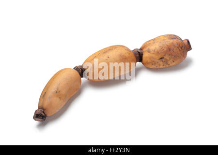 Fresh lotus root su sfondo bianco Foto Stock