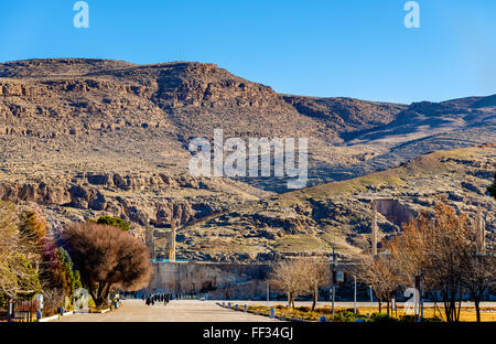 Vista di Persepolis, capitale dell'Impero achemenide Foto Stock