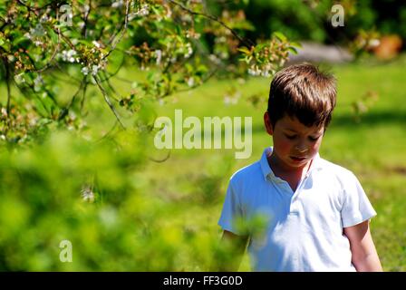 ragazzo in giardino Foto Stock