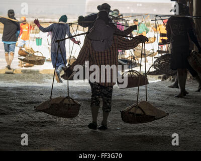 Febbraio 10, 2016 - Divieto di Laem, Phetchaburi, Thailandia - sale - lavoratori di campo portano appena raccolte sale in un sale granaio in provincia Phetchaburi, Thailandia. Il sale raccolto in Thailandia di solito inizia in febbraio e prosegue attraverso il Maggio. Il sale viene raccolto in molte delle province lungo la costa, ma il sale campi nella provincia Phetchaburi sono considerati i più produttivi. Le saline sono inondati con acqua di mare, che evapora off lasciando sale dietro. Per la produzione di sale si basa su condizioni di tempo asciutto e i produttori sono sperando che l'attuale siccità significherà una lunga stagione di raccolto per loro. (Credito immagine: Foto Stock