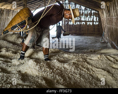 Febbraio 10, 2016 - Divieto di Laem, Phetchaburi, Tailandia - un lavoratore si svuota il suo cesto di sale in un sale granaio durante il sale raccolto in provincia Phetchaburi, Thailandia. Il sale raccolto in Thailandia di solito inizia in febbraio e prosegue attraverso il Maggio. Il sale viene raccolto in molte delle province lungo la costa, ma il sale campi nella provincia Phetchaburi sono considerati i più produttivi. Le saline sono inondati con acqua di mare, che evapora off lasciando sale dietro. Per la produzione di sale si basa su condizioni di tempo asciutto e i produttori sono sperando che l'attuale siccità significherà una lunga stagione di raccolto per loro. (Cre Foto Stock