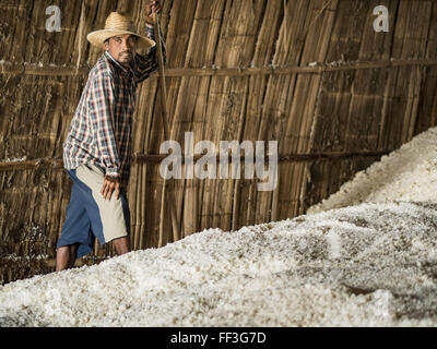 Febbraio 10, 2016 - Divieto di Laem, Phetchaburi, Tailandia - un lavoratore rastrelli raccolte sale in un granaio del sale all'inizio del sale raccolto in provincia Phetchaburi, Thailandia. Il sale raccolto in Thailandia di solito inizia in febbraio e prosegue attraverso il Maggio. Il sale viene raccolto in molte delle province lungo la costa, ma il sale campi nella provincia Phetchaburi sono considerati i più produttivi. Le saline sono inondati con acqua di mare, che evapora off lasciando sale dietro. Per la produzione di sale si basa su condizioni di tempo asciutto e i produttori sono sperando che l'attuale siccità significherà una lunga stagione di raccolto per il Foto Stock