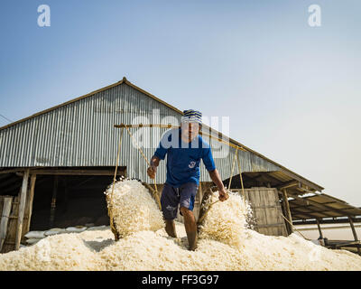 Febbraio 10, 2016 - Divieto di Laem, Phetchaburi, Thailandia - sale - lavoratori di campo vuoto i loro cestini di sale raccolto nella parte anteriore di un sale granaio Phetchaburi provincia della Thailandia. Il sale raccolto in Thailandia di solito inizia in febbraio e prosegue attraverso il Maggio. Il sale viene raccolto in molte delle province lungo la costa, ma il sale campi nella provincia Phetchaburi sono considerati i più produttivi. Le saline sono inondati con acqua di mare, che evapora off lasciando sale dietro. Per la produzione di sale si basa su condizioni di tempo asciutto e i produttori sono sperando che l'attuale siccità significherà una lunga stagione di raccolto per TH Foto Stock