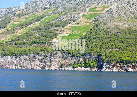 Hvar la costa meridionale, vigne, spiagge, baie tranquille,mari blu,estati perfetta,i turisti la balneazione,pianure di Stari Grad,CROAZIA Foto Stock