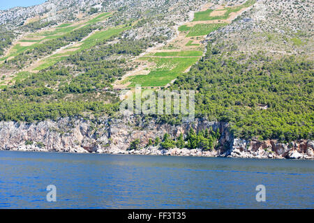 Hvar la costa meridionale, vigne, spiagge, baie tranquille,mari blu,estati perfetta,i turisti la balneazione,pianure di Stari Grad,CROAZIA Foto Stock