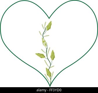 Il concetto di amore, illustrazione di Cardamomo bianco o siamesi i semi di cardamomo in una bella forma di cuore isolato su sfondo bianco. Illustrazione Vettoriale