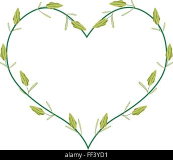 Il concetto di amore, illustrazione di Cardamomo bianco o siamesi i semi di cardamomo formando in forma di cuore isolato su sfondo bianco. Illustrazione Vettoriale