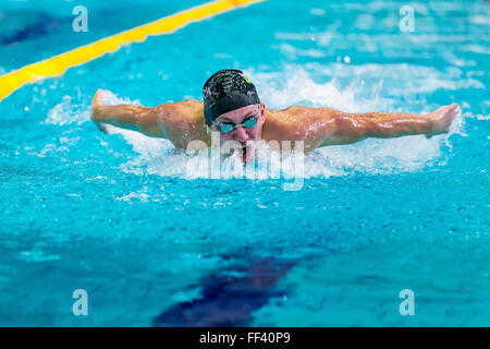 Chelyabinsk, Russia - 2 Febbraio 2016: nuotatore atleta di nuoto corsa farfalla in piscina Foto Stock