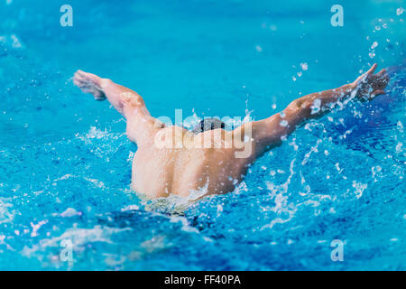 Giovane atleta nuotatore nuoto nella piscina butterfly. vista posteriore Foto Stock