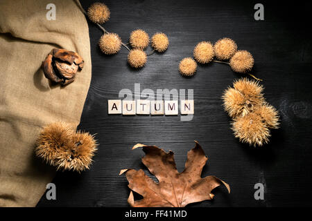 Concetto di autunno con decorazione naturale di foglie, castagne e i dadi su sfondo nero Foto Stock