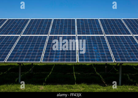 Righe di pannelli solari fotovoltaici in un campo per la produzione di energia elettrica. Energia rinnovabile in St Albans, Cornwall, Regno Unito. Foto Stock