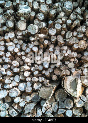 Palo di legno / logs per uso domestico di legna da ardere, Francia. Foto Stock