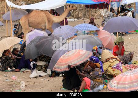 SENBETE, ETIOPIA-marzo 24: le donne di oromos-amharas-afar frequentare il mercato della domenica dove si riuniscono per il business-camel passin Foto Stock