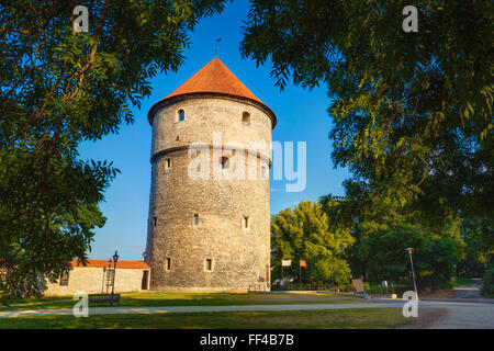 Tallinn, Estonia. Torre medievale Kiek-in-de-Kok nel parco sulla collina di Toompea Foto Stock