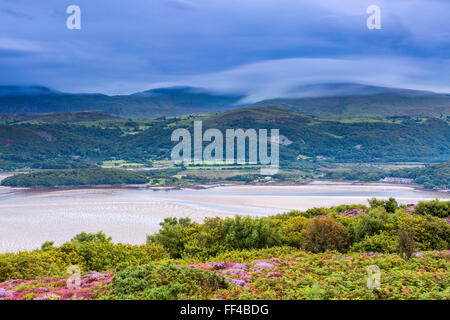 Mawddach Estuary visto dal Panorama a piedi sopra Barmouth, Gwynedd, Wales, Regno Unito, Europa. Foto Stock