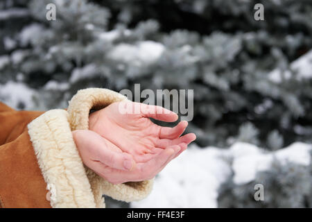 La neve cade su le mani delle donne, stagione invernale concept Foto Stock