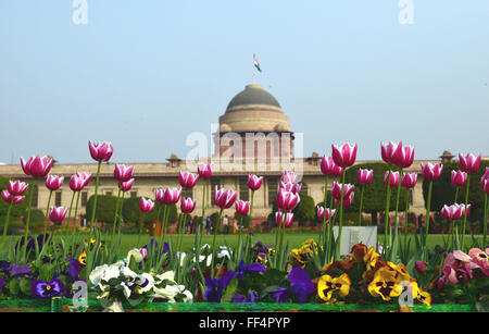 New Delhi. 10 Febbraio, 2016. Foto scattata nel febbraio 10, 2016 mostra in fiore in giardino Mughal intorno alla Indian palazzo presidenziale durante una anteprima di stampa in New Delhi, India. Il giardino sarà aperta al pubblico dal 12 febbraio al 15 marzo. © Stringer/Xinhua/Alamy Live News Foto Stock