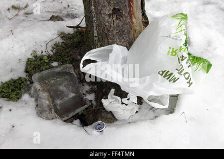 Mosca, Russia. Xvii gen, 2016. Un sacchetto di plastica e immondizia di plastica visto sotto un albero in una foresta a Mosca, Russia, 17 gennaio 2016. Foto: EVA STEINLEIN/dpa/Alamy Live News Foto Stock