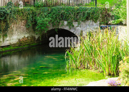 Il vecchio ponte di pietra sul Fiume Coln nel villaggio di Bibury, England Regno Unito. La natura del paesaggio. Foto Stock