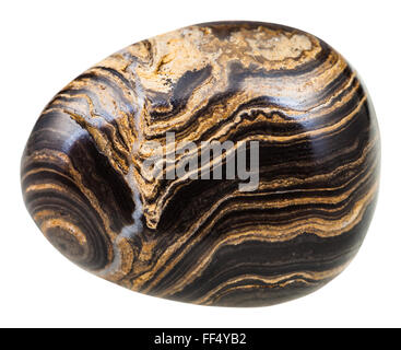 Le riprese in modalità macro di minerali naturali di pietra - burattati Stromatolite (stromatolith) gemma isolati su sfondo bianco Foto Stock