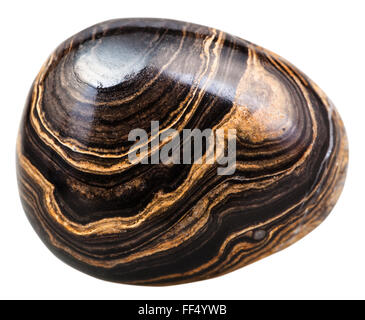 Le riprese in modalità macro di minerali naturali - pietre cabochon di Stromatolite (stromatolith) gemma isolati su sfondo bianco Foto Stock