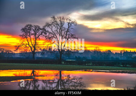 Sunrise a Repton, Derbyshire, Regno Unito, 11 febbraio 2016. Regno Unito Meteo: Alba sui campi allagati e gonfie fiume Trent. Molte persone nel Derbyshire vivono in aree a rischio di alluvione. Le inondazioni hanno colpito aree lontane dalla pianura alluvionale naturale. Le tempeste intense e prolungate hanno superato la capacità del sistema di drenaggio locale e hanno saturato il terreno e messo molte più case, aziende e persone a rischio di acque di superficie, falde acquifere e corsi d'acqua. Foto Stock