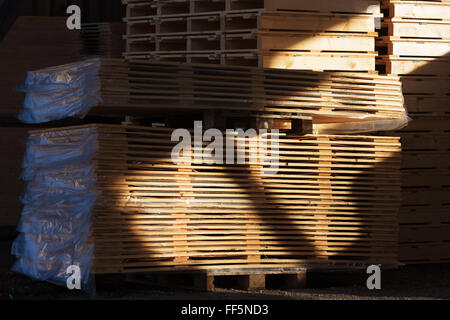 Un sacco di pallet impilati e pronto per l'uso. Queste sono quelle di nuova costruzione in open storage building. Contrasto elevato con immagine Foto Stock