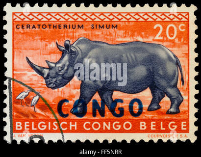 CONGO BELGA - circa 1959: un timbro stampato in Congo belga mostra rinoceronte Foto Stock