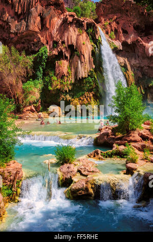 Incredibile Havasu cade nel Grand Canyon, Arizona Foto Stock