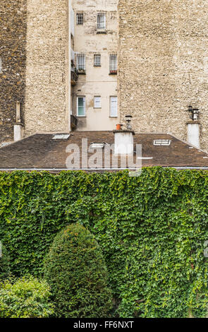 Tetto e edifici si ergono dietro la parete ricoperta Foto Stock