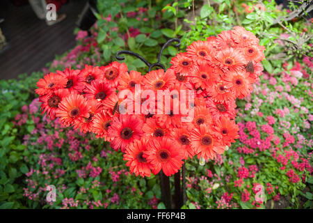 Butterfly,farfalle,a,butterfly,design,a,calmante,rilassante,space,costruzione,il terminale,a,Butterfly Garden.L'Aeroporto Changi di Singapore,,Asia,asiatica, Foto Stock